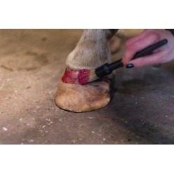 Vernis à Sabots Brillant Excellent Horse Argent 150 ml