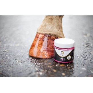 Vernis à Sabots Brillant Excellent Horse Argent 150 ml