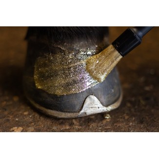 Vernis à Sabots Brillant Excellent Horse Argent 150 ml