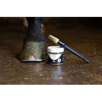 Vernis à Sabots Brillant Excellent Horse Argent 150 ml