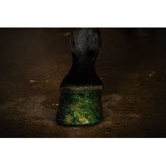 Vernis à Sabots Brillant Excellent Horse Argent 150 ml