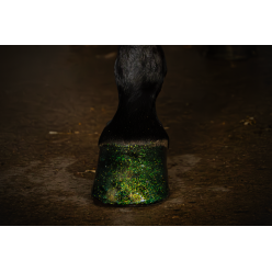 Vernis à Sabots Brillant Excellent Horse Argent 150 ml