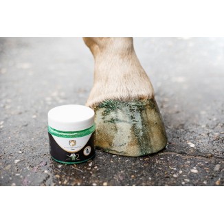 Vernis à Sabots Brillant Excellent Horse Argent 150 ml