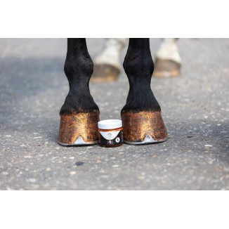 Vernis à Sabots Brillant Excellent Horse Argent 150 ml
