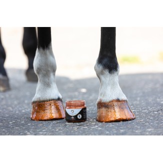 Vernis à Sabots Brillant Excellent Horse Argent 150 ml