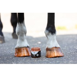 Vernis à Sabots Brillant Excellent Horse Argent 150 ml