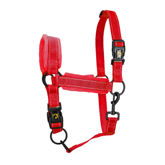 Excellent Supérieur Licou | Professionnel