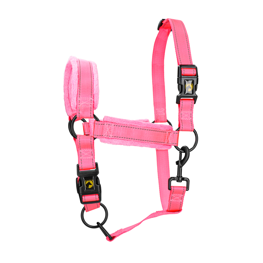 Excellent Supérieur Licou | Professionnel