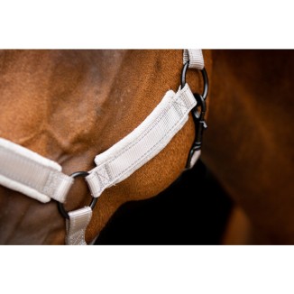 Excellent Supérieur Licou | Professionnel