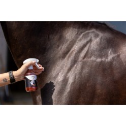 Excellent Spray Paillettes Brillantes Hi Gloss pou | Professionnel