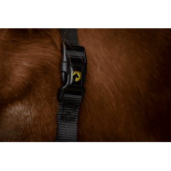 Excellent Premium Licou Bleu XS - Idéal pour votre cheval