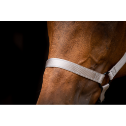 Excellent Premium Licou Bleu XS - Idéal pour votre cheval