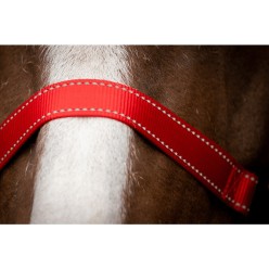 Excellent Premium Licou Bleu XS - Idéal pour votre cheval
