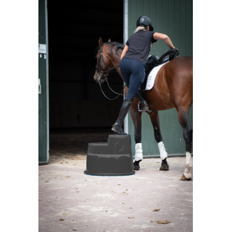 Excellent Bloc d'Équitation à 3 Marches, Montoir I | Professionnel