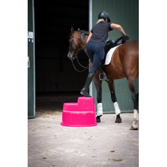 Excellent Bloc d'Équitation à 3 Marches, Montoir I | Professionnel