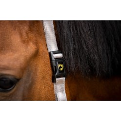 Excellent Essentiel | Professionnel