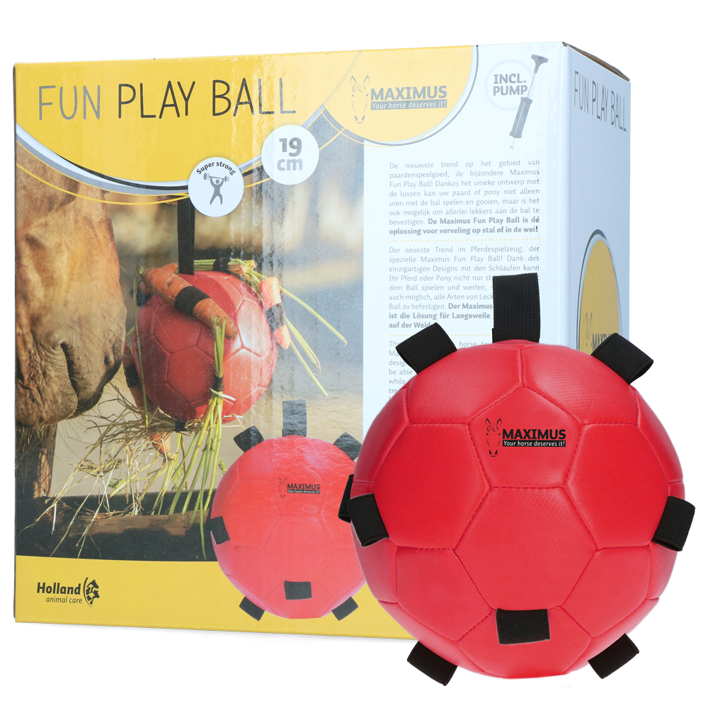 Excellent Cheval Amusant Jouer Balle | Professionnel