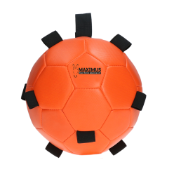 Excellent Cheval Amusant Jouer Balle | Professionnel