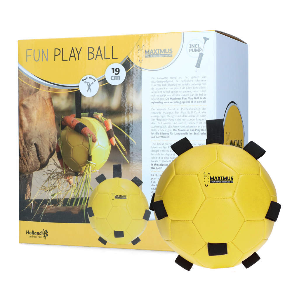 Excellent Cheval Amusant Jouer Balle | Professionnel