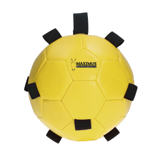 Excellent Cheval Amusant Jouer Balle | Professionnel