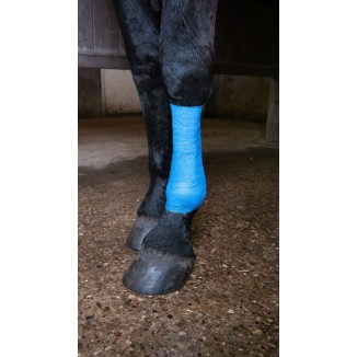 Bandage Pro 5 cm à Paillettes pour Animaux - Bleu par Excellent