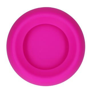 Gamelle Anti-Déversement Silicone 300ml | Excellent Pets